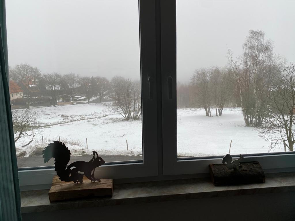 Appartement Urlaubshaus-Braunlage Wg 3 Extérieur photo